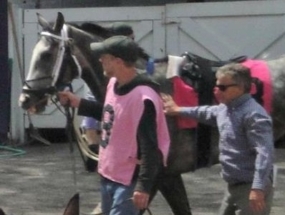 In the Paddock